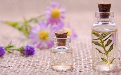 The Science Behind the Power of Essential Oils